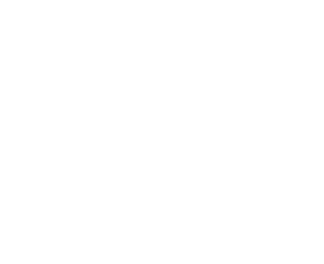 Ring-1 Logo